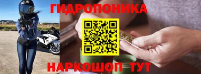 ECSTASY Шелехов