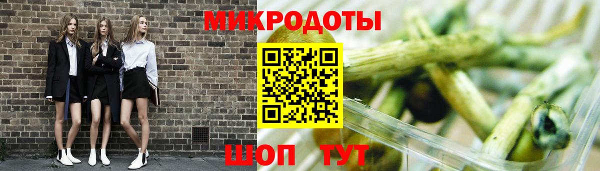 Галлюциногенные грибы прущие грибы  Вход с VPN  Семилуки 